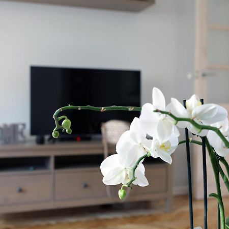 Apartament Turkus シュチェチン エクステリア 写真