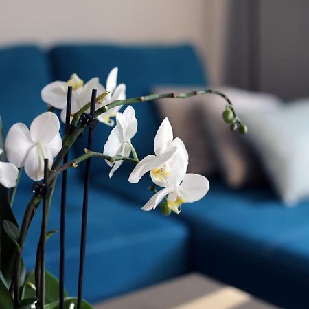 Apartament Turkus シュチェチン エクステリア 写真