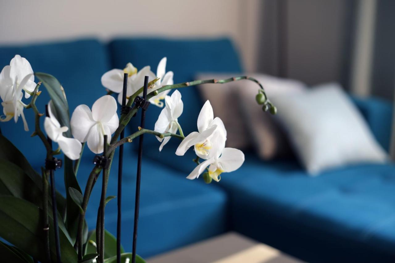 Apartament Turkus シュチェチン エクステリア 写真